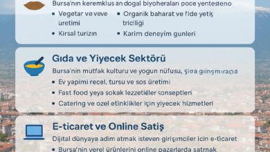 bursa is fikirleri 2025
