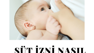 süt izni nasıl alınır