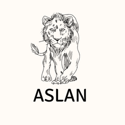 aslanburcu