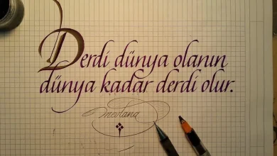 dertler dünyası