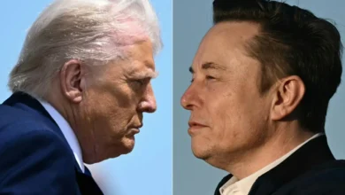 elon musk trump