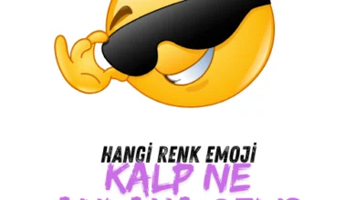 Mesajlaşırken Hangi Renk Emoji Kalp Ne Anlama Gelir? (Renklerin Gizemi) 1 renkli emoji