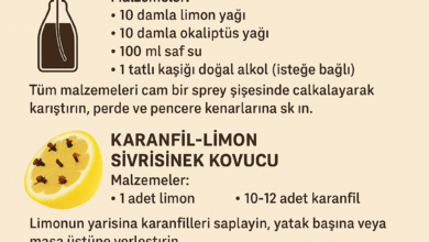 Sivrisinek Evden Nasıl Yok Edilir? 24 sivrisinek
