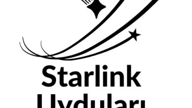 starlink uydu