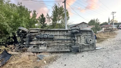 falanız kaza
