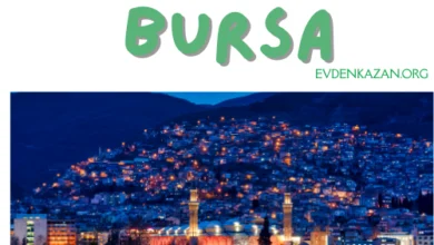 Bursa’da Evden Yapabileceğiniz İşler: Homm Bitkisel ile Kazançlı İş Fırsatları 3 bursa