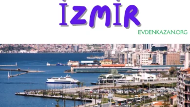 İzmir’de Evden Yapabileceğiniz İşler: Homm Bitkisel ile Kazançlı İş Fırsatları 1 i̇zmir