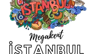 Homm Bitkisel İstanbul: Evden İş Fırsatları ve Kazanç Yolları 4 i̇stanbul homm bitkisel
