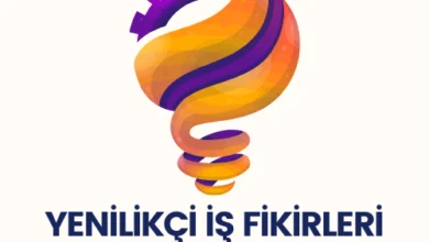 yenilikci is fikirleri