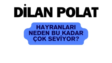 Dilan Polat Hayranları Neden Bu Kadar Çok Seviyor? 1 dilan polat hayranları