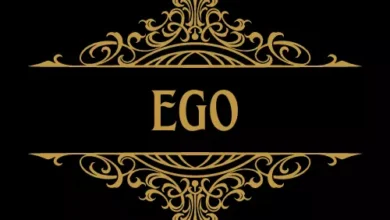 EGO Dizisi 3 ego dizisi