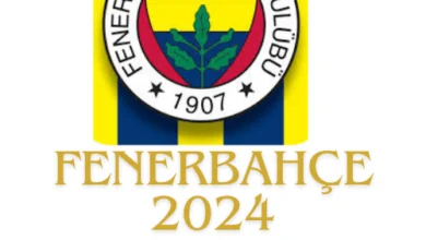 fenerbahce ara transfer