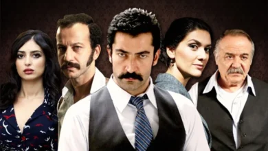 karadayı dizisi