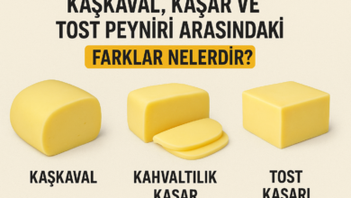 Kaşkaval, Kaşar ve Tost Peyniri Arasındaki Farklar Nelerdir? 17 kaşar peynir