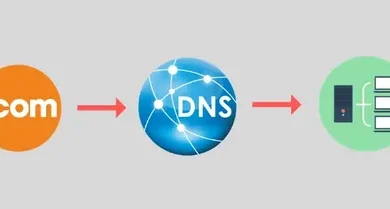 dns
